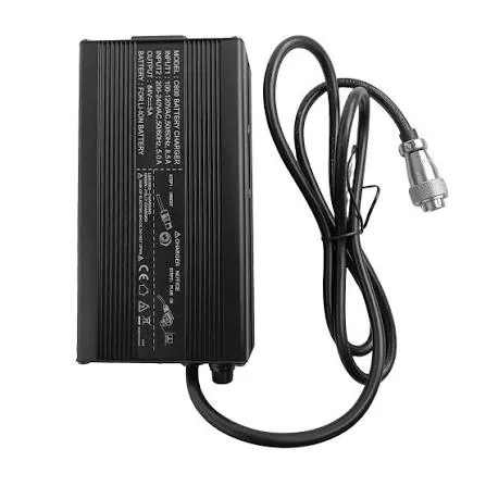 Aftermarket Lithium Charger (12/18/24Ah) - main view
