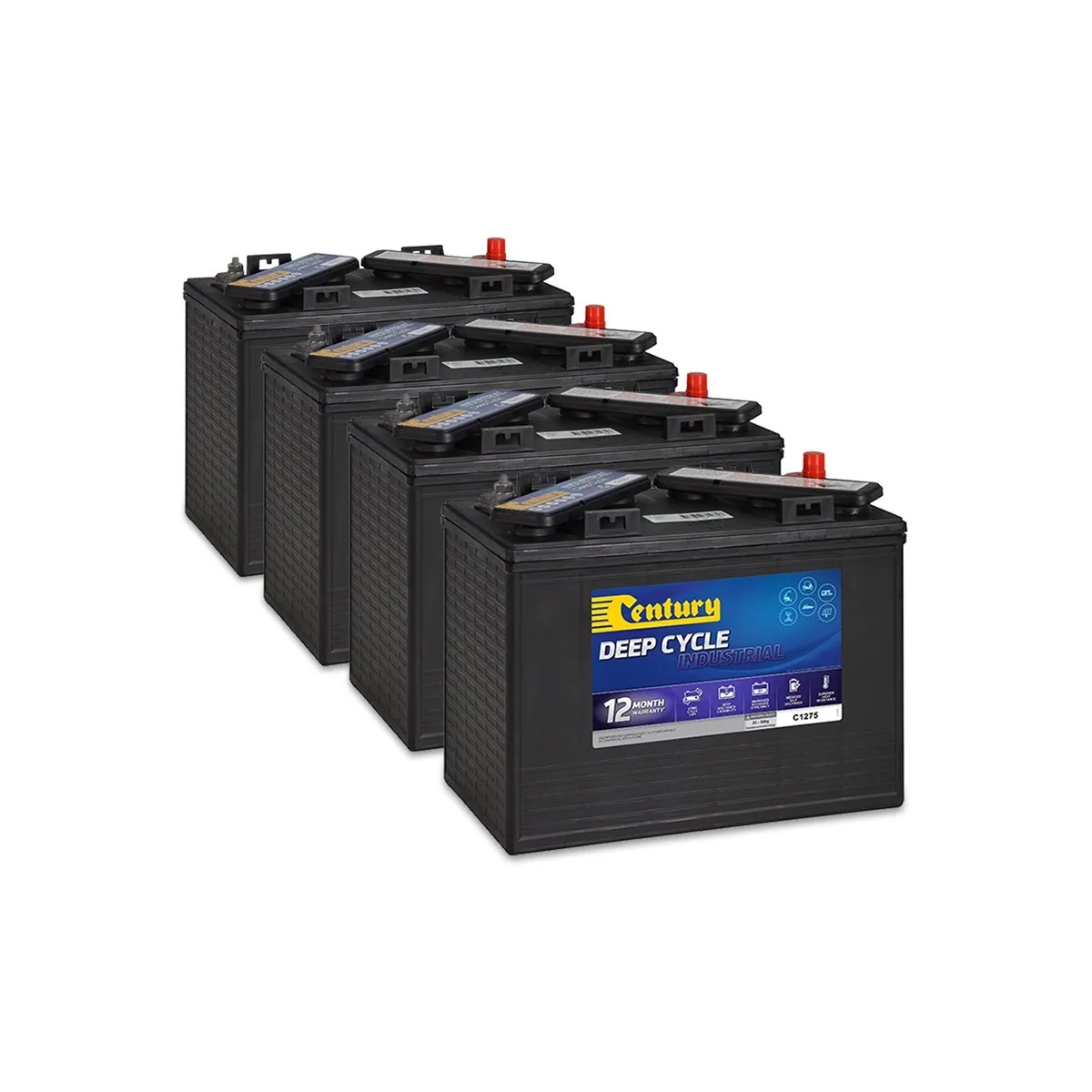 Century Golf Cart Battery Set (36V / 48V) - main view