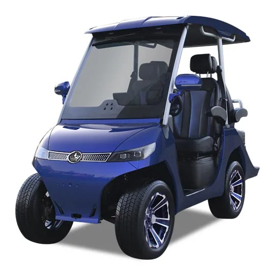 Evolution D3 2-Seater Electric Golf Cart - main view