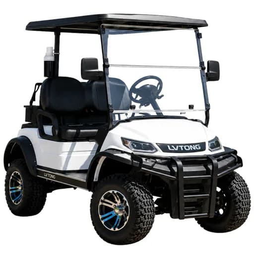 LVTONG 2-Seater Fleet Golf Cart - main view