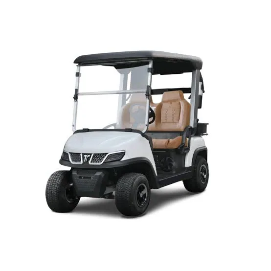 Tara Spirit Plus / Spirit Pro 2-Seater Golf Cart - main view