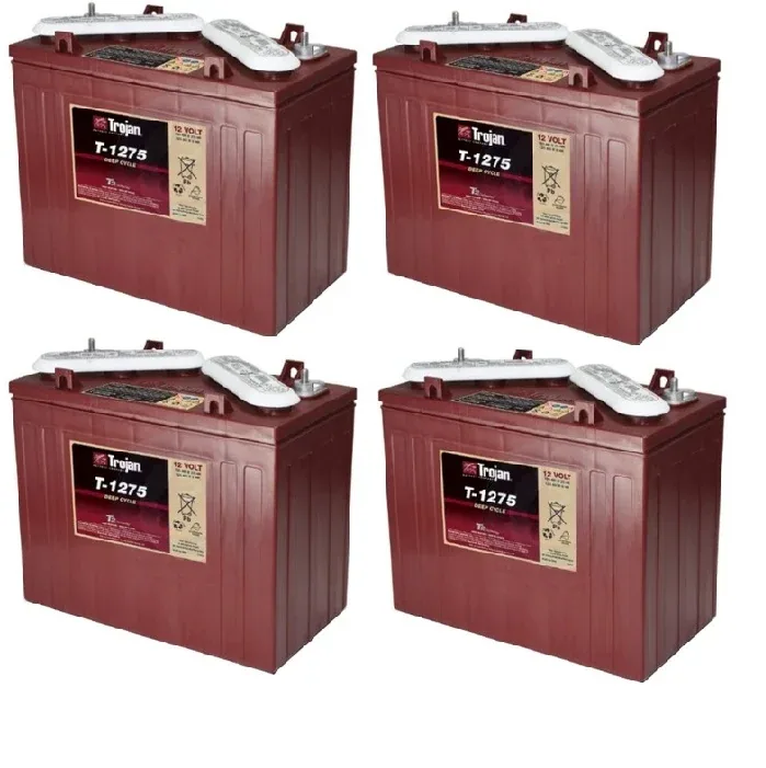 Trojan T875 Flooded Battery Set (48V) - main view